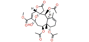 Briarenol Q